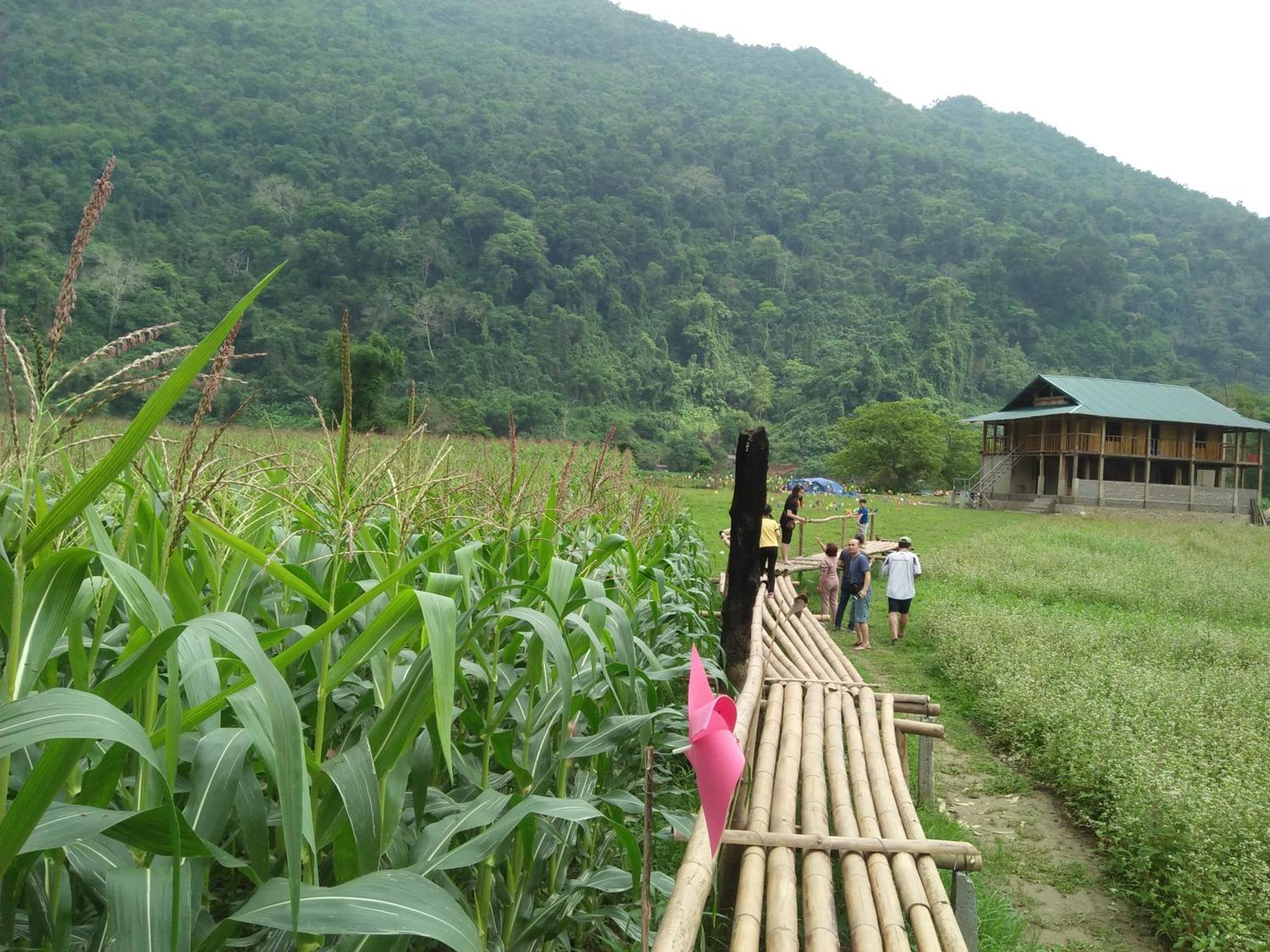 Tran Xuan Homestay Ba Be Dış mekan fotoğraf