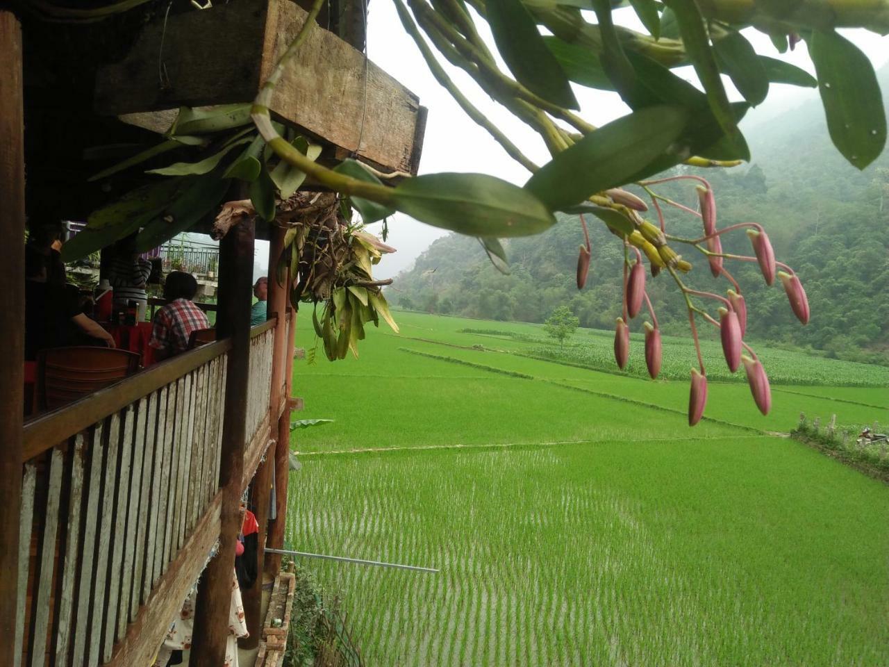 Tran Xuan Homestay Ba Be Dış mekan fotoğraf